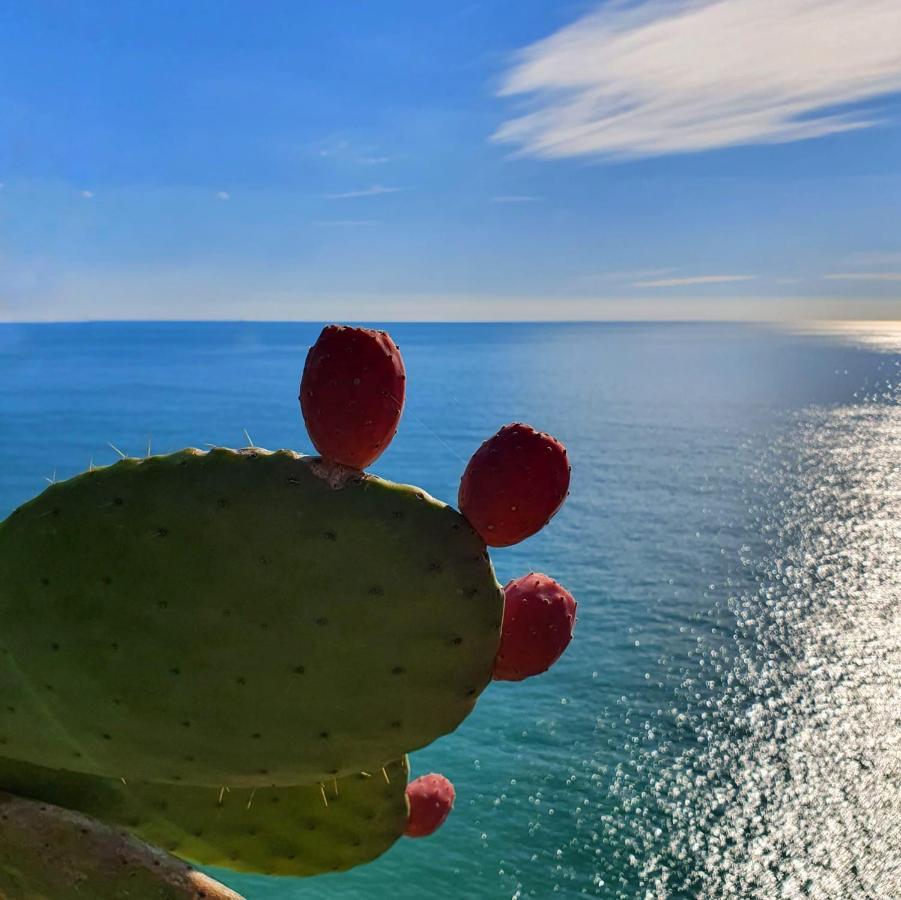 Apartament La Terrazza Sul Blu Corniglia Zewnętrze zdjęcie