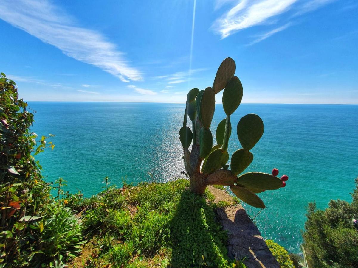 Apartament La Terrazza Sul Blu Corniglia Zewnętrze zdjęcie