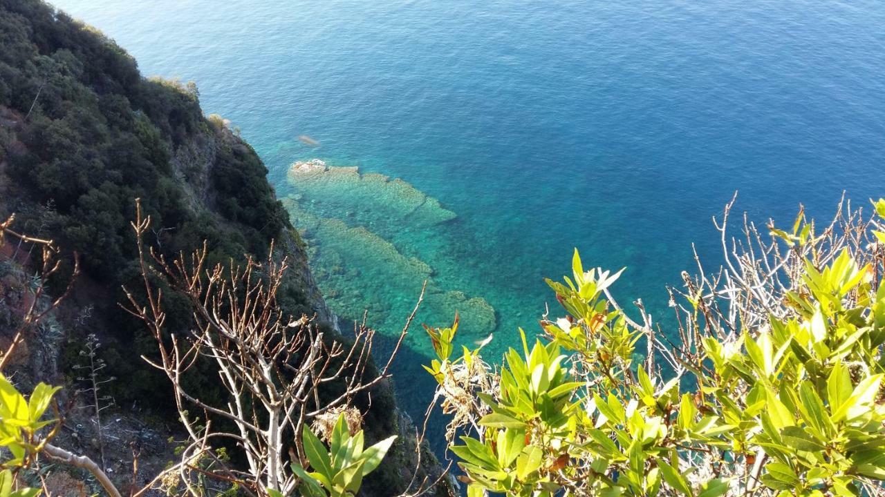 Apartament La Terrazza Sul Blu Corniglia Zewnętrze zdjęcie