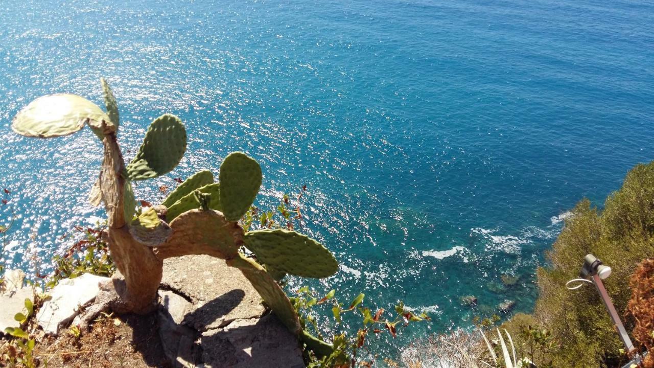 Apartament La Terrazza Sul Blu Corniglia Zewnętrze zdjęcie
